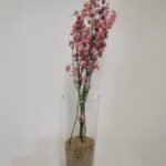 20250811_171603 Pied d'alouette rose