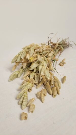 Botte de briza séché