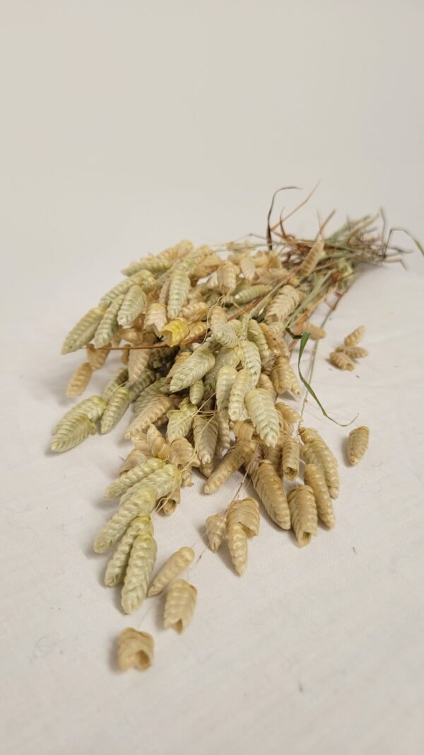 Botte de briza séché