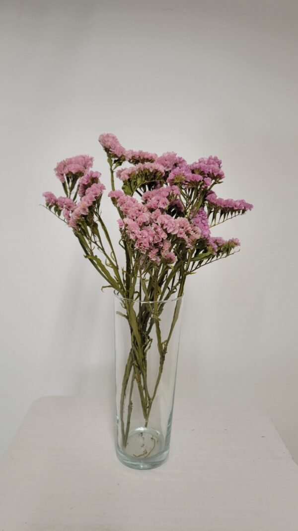 20250811_173620 Statice rose