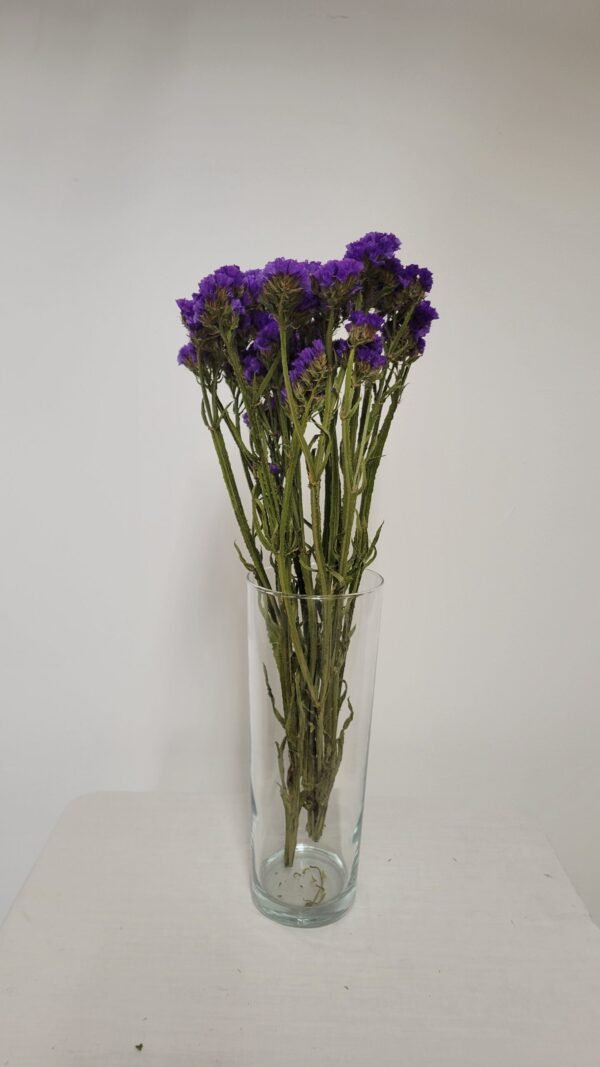 20250811_173751 Statice violet