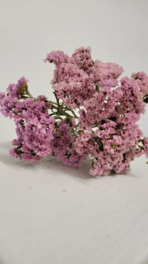 20250811_174758 Statice