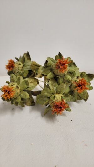 Botte de carthame séchés