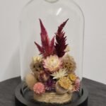 20260129_093906 Cloche "Colette"