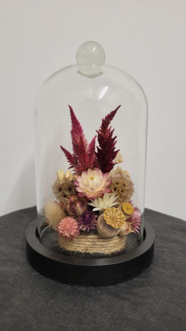 20260129_093906 Cloche "Colette"