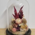 20260129_093936 Cloche "Colette"