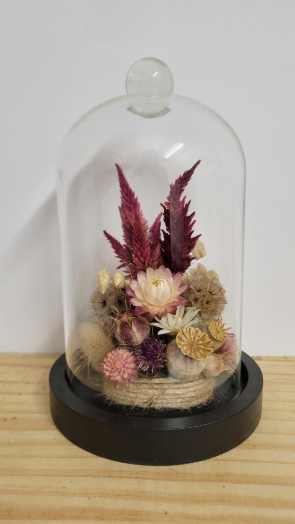 20260129_093936 Cloche "Colette"