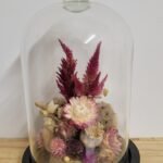 20260129_093958 Cloche "Colette"