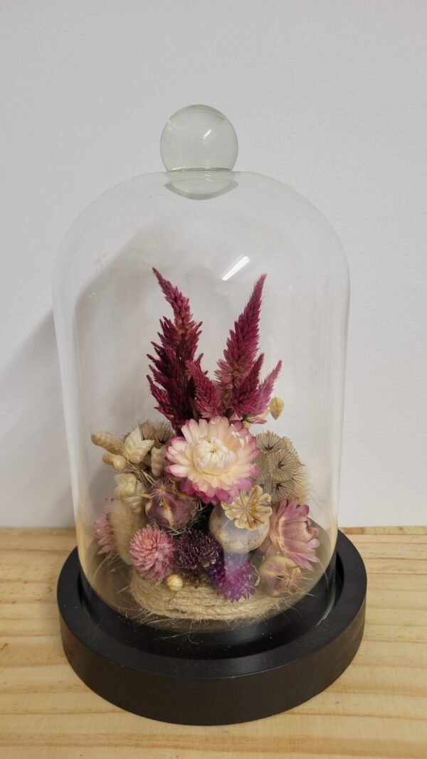 20260129_093958 Cloche "Colette"