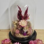 20260129_094703 Cloche "Colette"