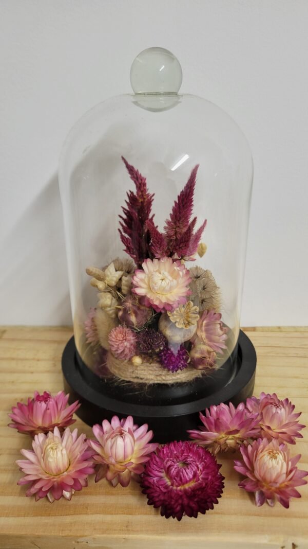 20260129_094703 Cloche "Colette"