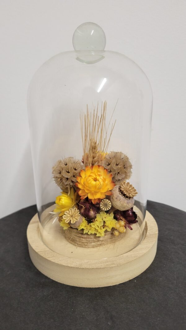 20260129_094719 Cloche "Jeanne"