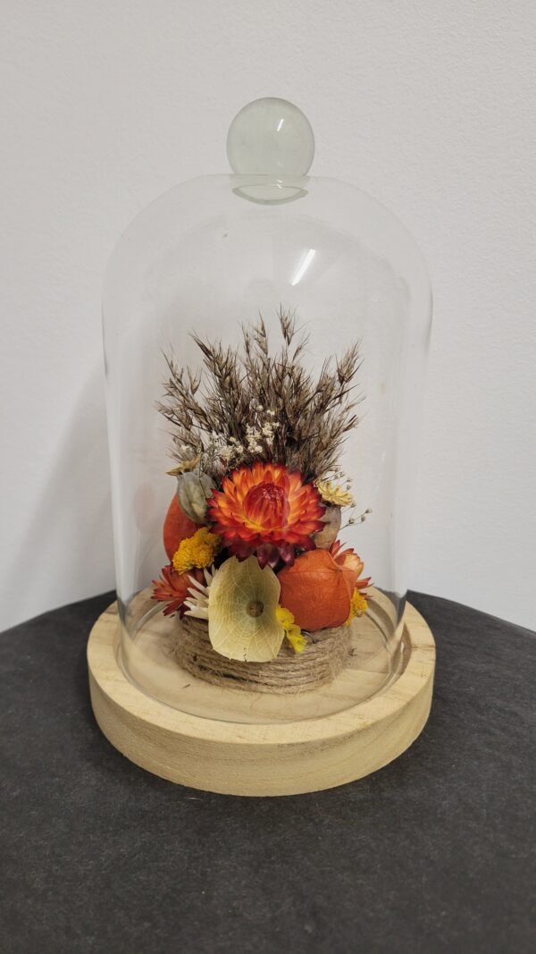 20260129_094756 Cloche "Eleonore"