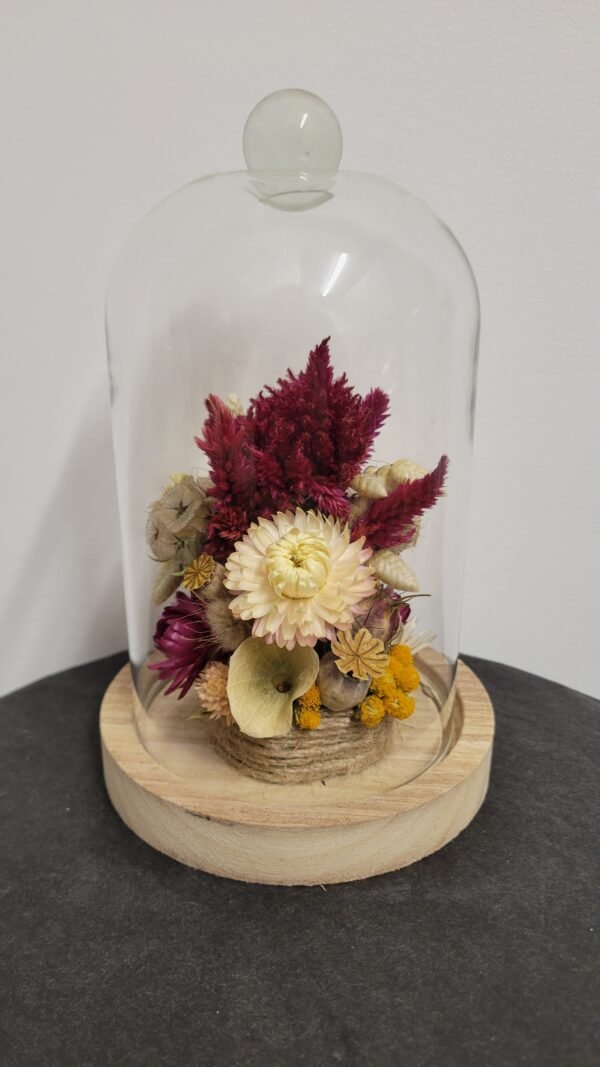 20260129_094817 Cloche "Linette"