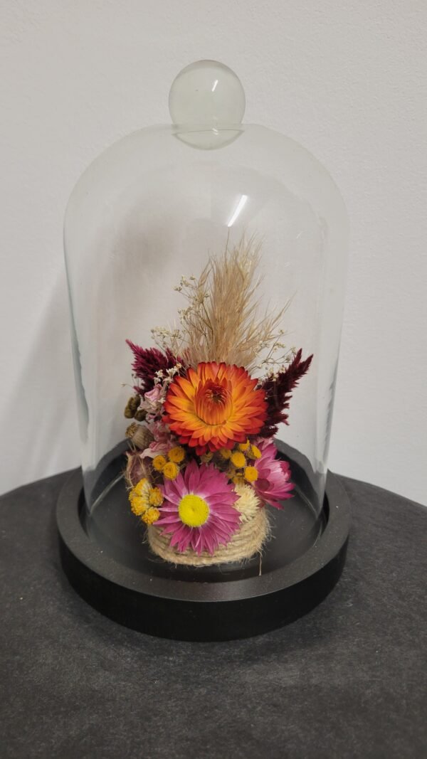 20260129_094835 Cloche "Flora"