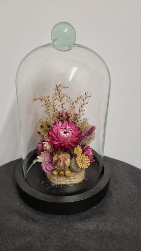 20260129_095028 Cloche "Roselyne"