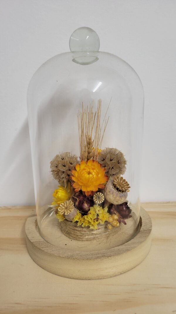 20260129_095040 Cloche "Jeanne"