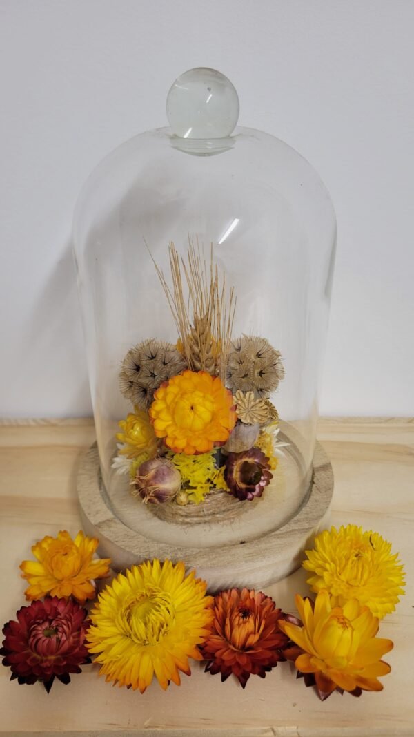 20260129_095229 Cloche "Jeanne"