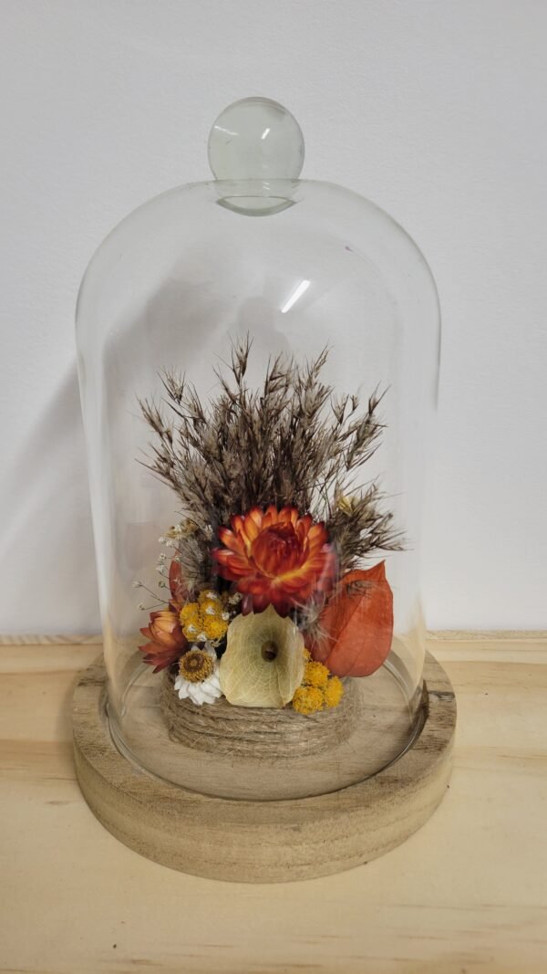 20260129_095344 Cloche "Eleonore"