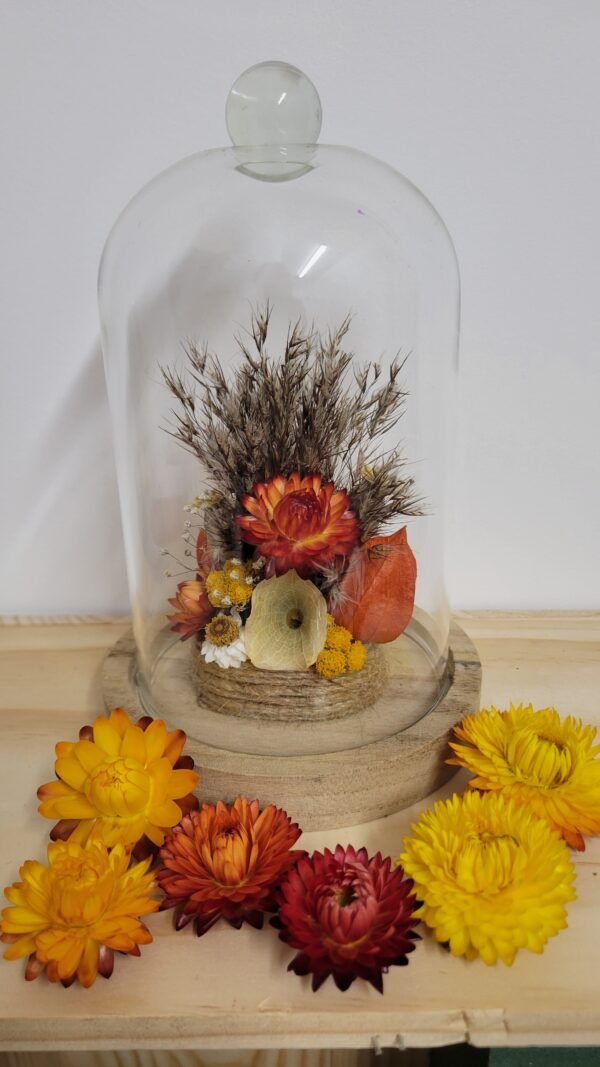 20260129_095405 Cloche "Eleonore"