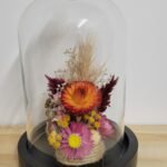 20260129_095507 Cloche "Flora"