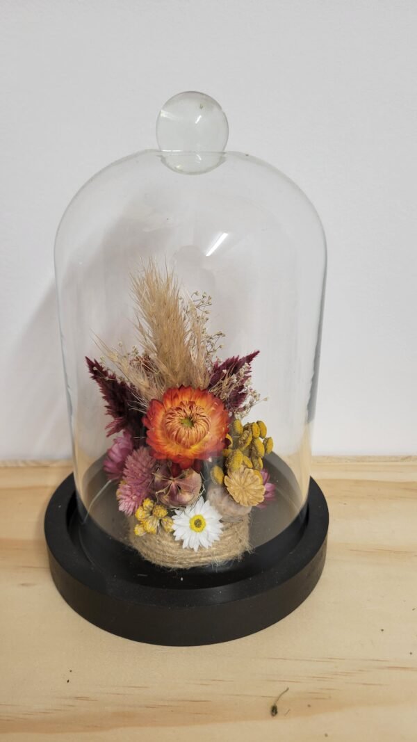 20260129_095517 Cloche "Flora"