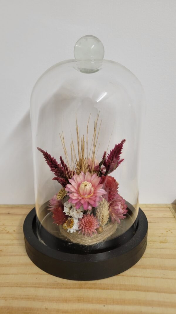 20260129_095552 Cloche "Zélie"