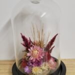 20260129_095601 Cloche "Zélie"