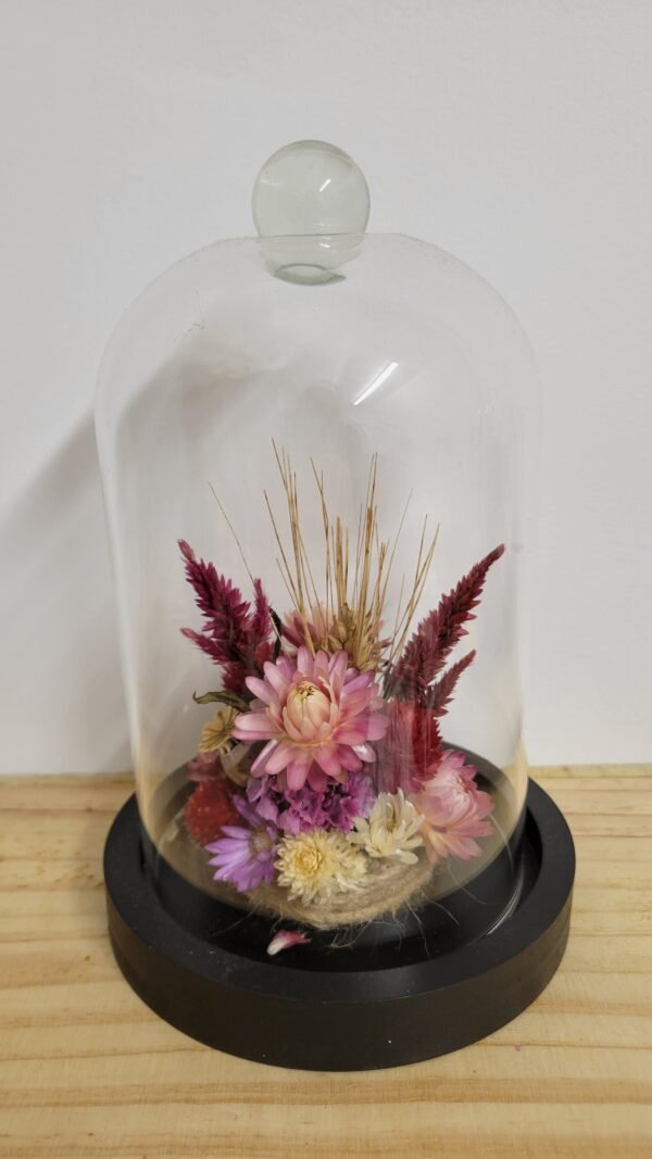 20260129_095601 Cloche "Zélie"