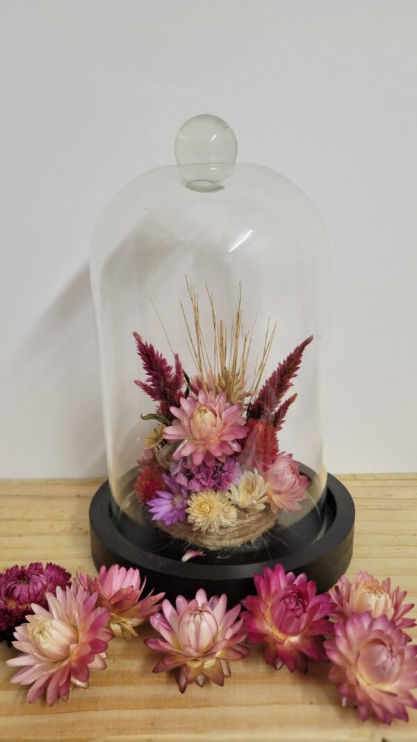 20260129_095617 Cloche "Zélie"