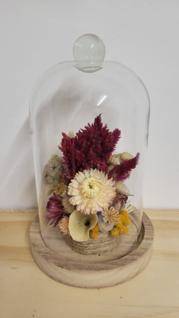 20260129_095642 Cloche "Linette"