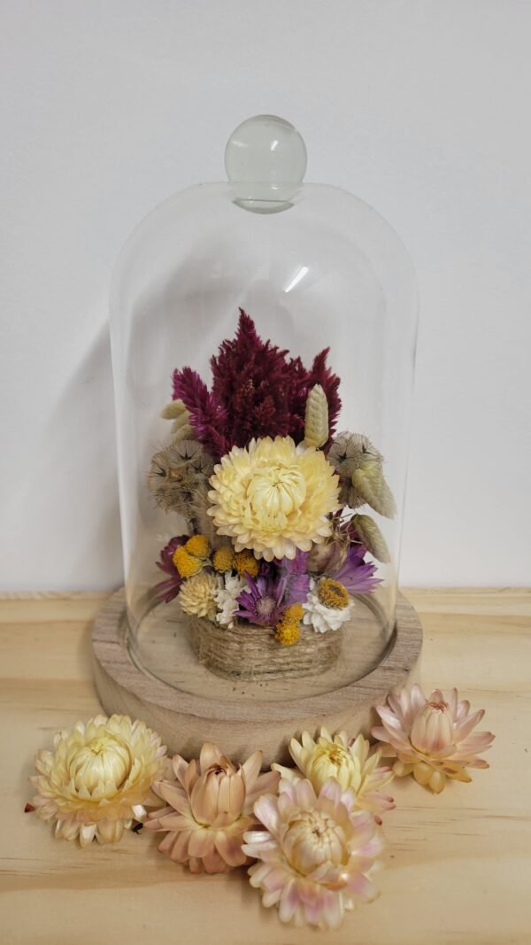 20260129_095958 Cloche "Linette"