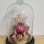 20260129_100001 Cloche "Roselyne"