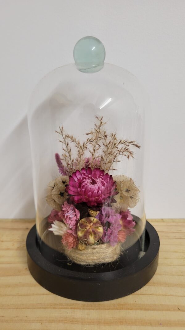 20260129_100021 Cloche "Roselyne"