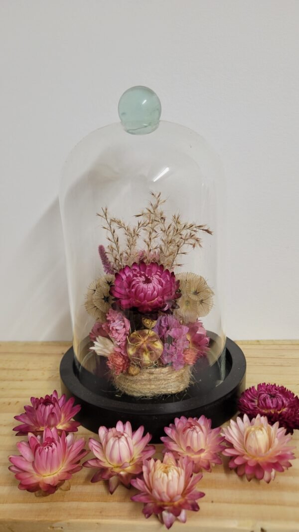 20260129_100040 Cloche "Roselyne"