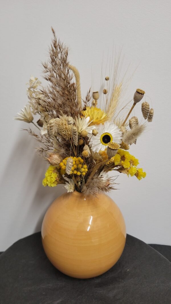 20260129_100533 Composition "Alma"