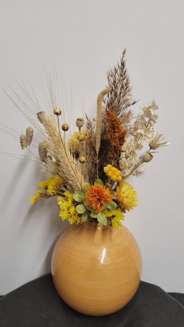 20260129_100542 Composition "Alma"