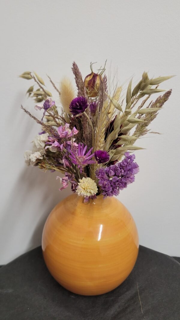 20260129_100902 Composition "Edna"