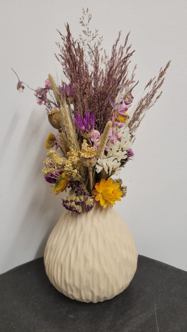 20260129_100945 Composition "Eulalie"