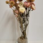Immortelle pastel