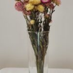 Immortelle pastel