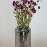 Gomphrena violet